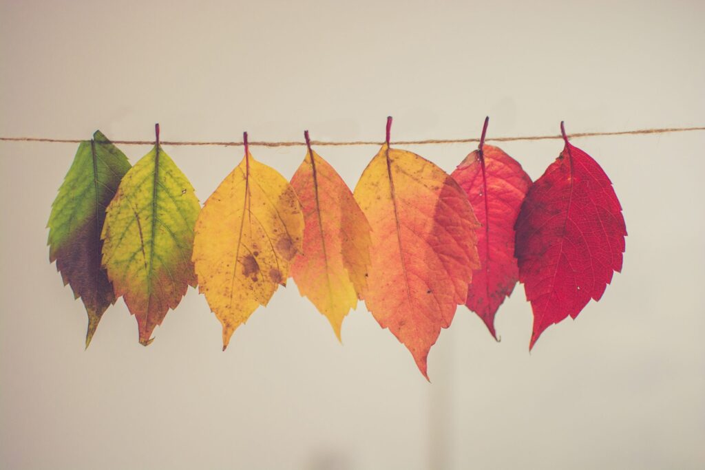 change-article